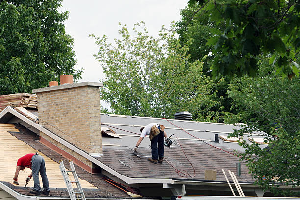 Best Gutter Installation and Roofing  in Ouray, CO