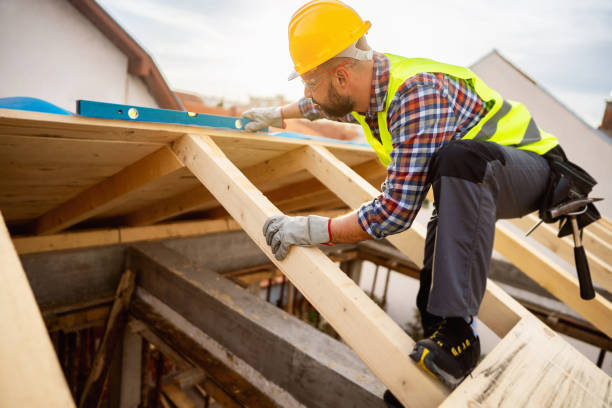 Best Roof Maintenance Services  in Ouray, CO