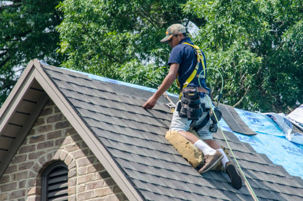 Best Roof Gutter Cleaning  in Ouray, CO